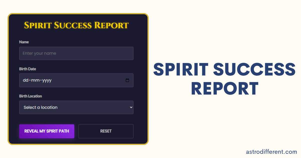 Spirit Success Report
